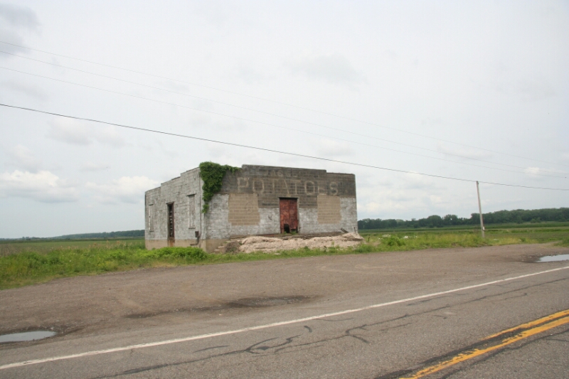 IMG_4355.JPG image